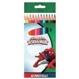 12 crayon de couleur Spiderman Disney enfant ecole
