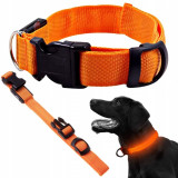 Collier pour chien a LED taille L orange lumineux 
