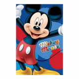 Plaid polaire Mickey Mouse couverture enfant Disney new