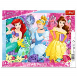 Puzzle cadre Princesse 25 pieces Ariel Belle Cendrillon