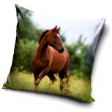Taie d'oreiller Cheval 40 x 40 cm Poney Coussin 