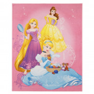 Tapis enfant Princesse 125 x 95 cm Disney 06 Haute qualite