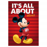 Plaid polaire Mickey Mouse Couverture raye